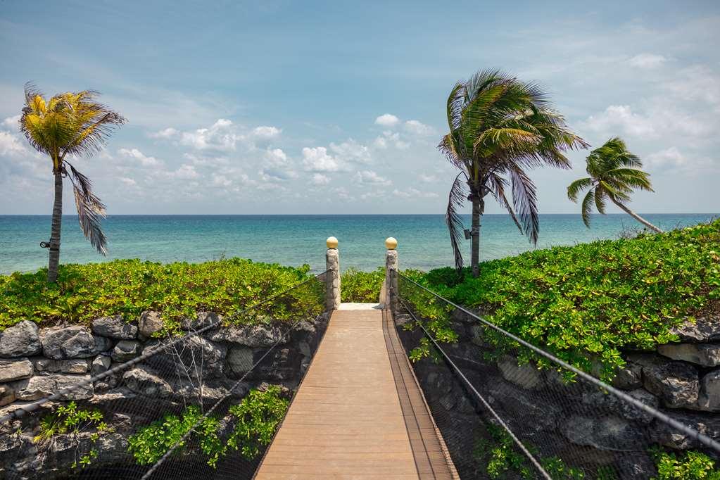 Hotel Xcaret Mexico Playa del Carmen Nature photo